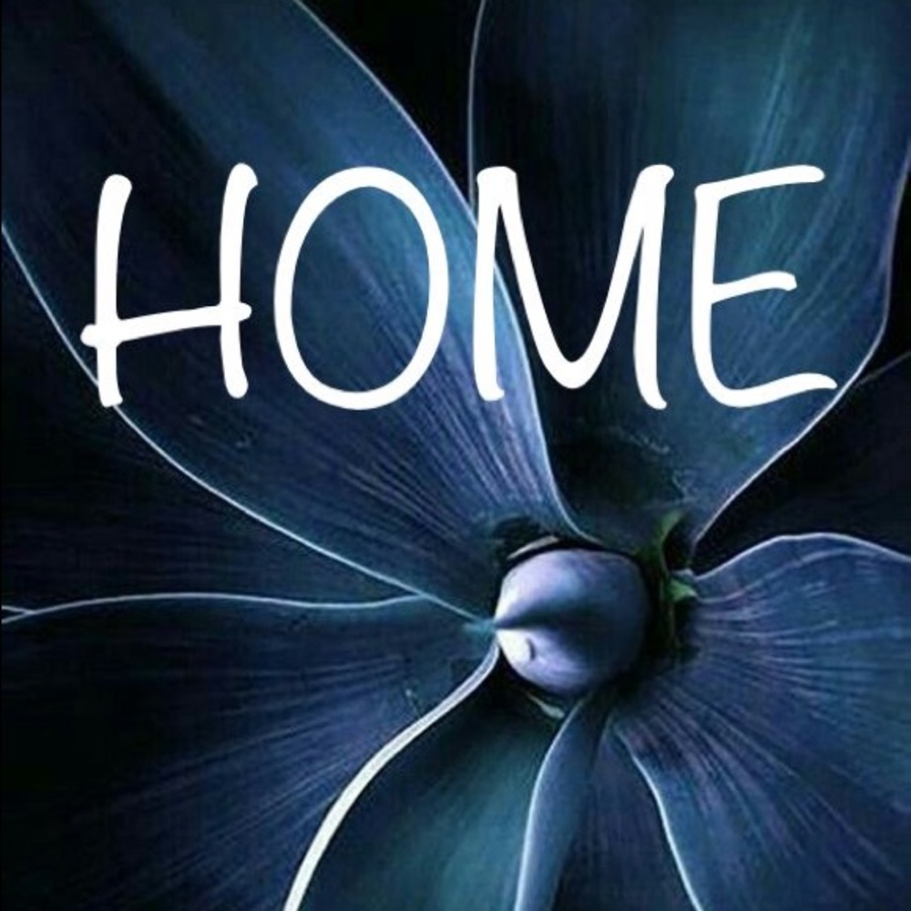 ✨HOME✨